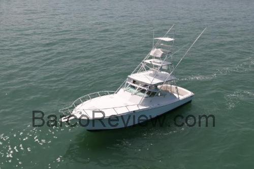 Topaz 410 opinión y ficha técnica